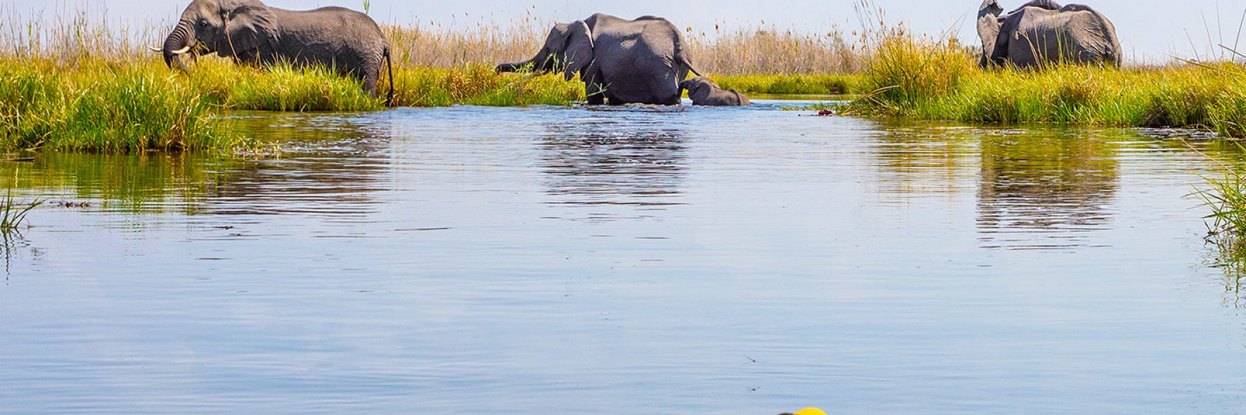 Into the Okavango